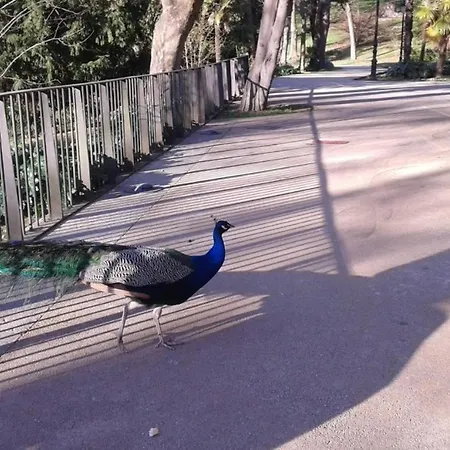 Big 4 In A Centric Parking Included Holiday home