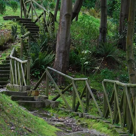 Big 4 In A Centric Parking Included *