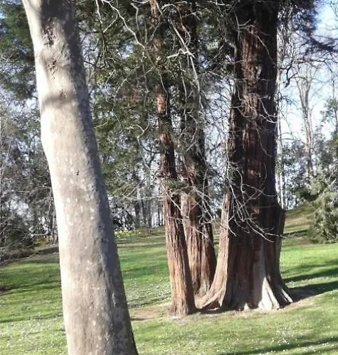 Big 4 In A Centric Parking Included Semesterbostad San Sebastián