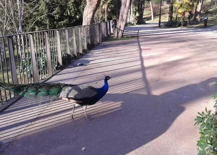 Big 4 In A Centric Parking Included Hébergement de vacances