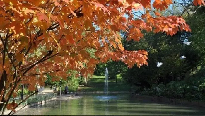 Semesterbostad Big 4 In A Centric Parking Included *